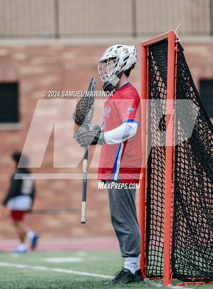 Thumbnail 2 in  Los Alamitos @ Crespi  photogallery.