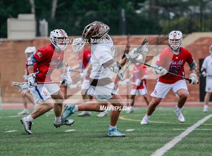 Thumbnail 1 in  Los Alamitos @ Crespi  photogallery.