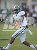 Photo from the gallery "Northwestern @ Venice"