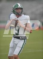 Photo from the gallery "Northwestern @ Venice"
