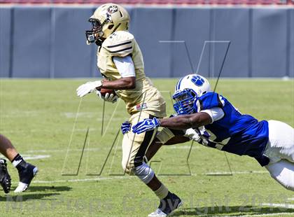 Thumbnail 3 in Godby @ Plant photogallery.