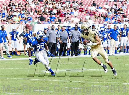 Thumbnail 3 in Godby @ Plant photogallery.