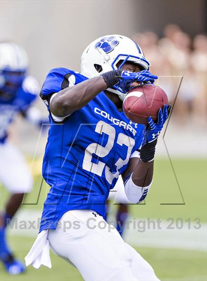 Thumbnail 1 in Godby @ Plant photogallery.