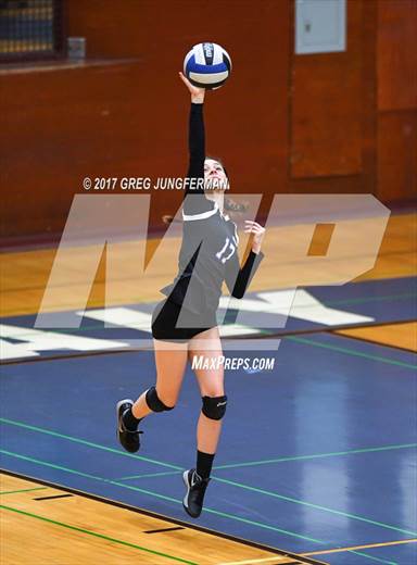 null - Photo 01