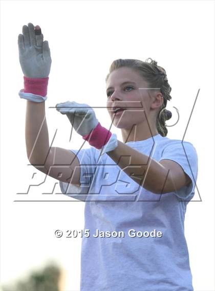 Thumbnail 2 in Spring Hill @ McGavock photogallery.