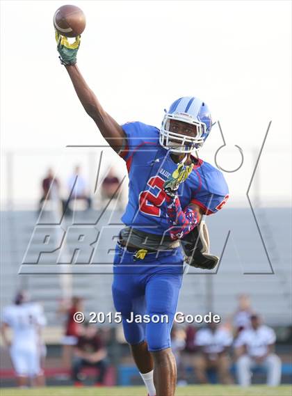 Thumbnail 1 in Spring Hill @ McGavock photogallery.