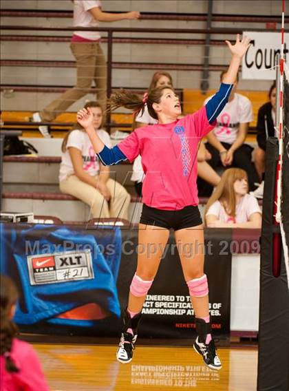 Thumbnail 1 in Alvin vs. Alamo Heights (Pearland Volleyball Classic) photogallery.