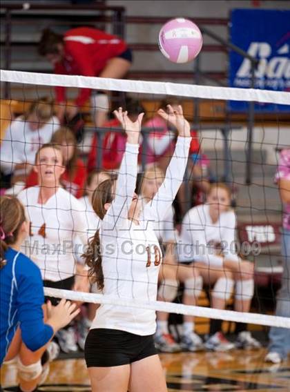 Thumbnail 3 in Alvin vs. Alamo Heights (Pearland Volleyball Classic) photogallery.