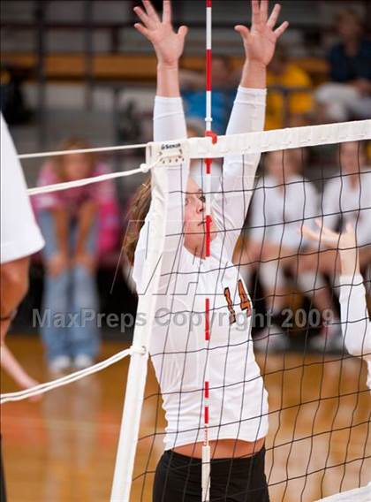 Thumbnail 3 in Alvin vs. Alamo Heights (Pearland Volleyball Classic) photogallery.