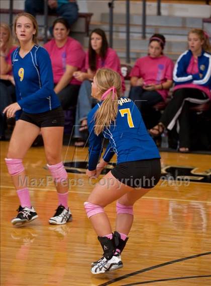 Thumbnail 3 in Alvin vs. Alamo Heights (Pearland Volleyball Classic) photogallery.