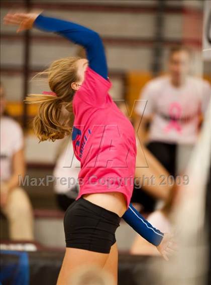 Thumbnail 3 in Alvin vs. Alamo Heights (Pearland Volleyball Classic) photogallery.