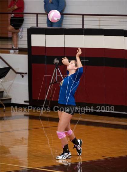 Thumbnail 2 in Alvin vs. Alamo Heights (Pearland Volleyball Classic) photogallery.