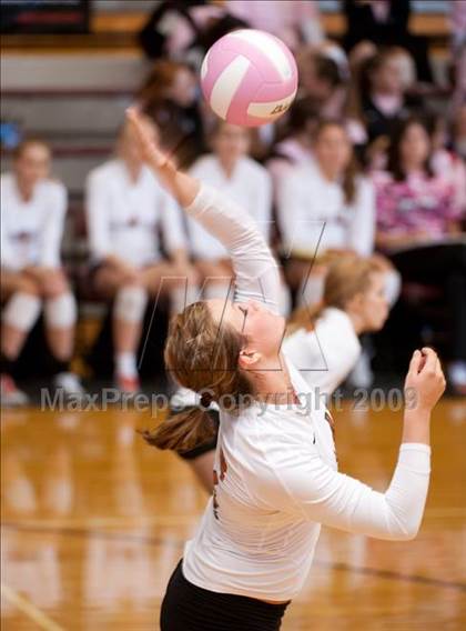 Thumbnail 1 in Alvin vs. Alamo Heights (Pearland Volleyball Classic) photogallery.