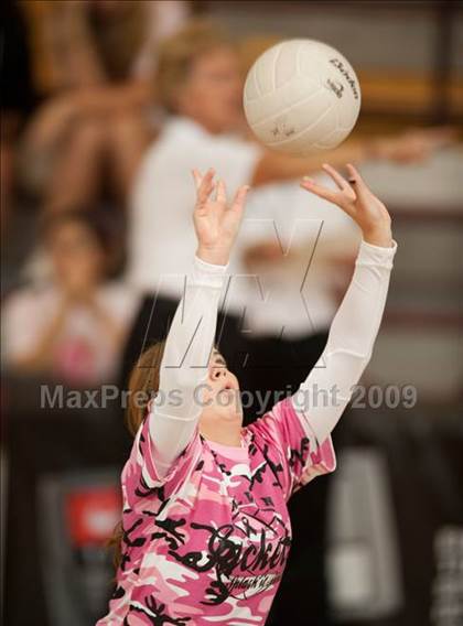 Thumbnail 3 in Alvin vs. Alamo Heights (Pearland Volleyball Classic) photogallery.
