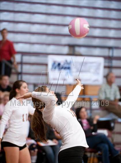 Thumbnail 1 in Alvin vs. Alamo Heights (Pearland Volleyball Classic) photogallery.