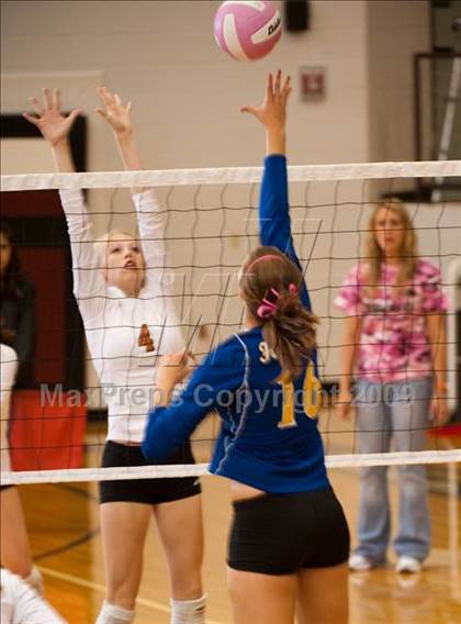 Thumbnail 2 in Alvin vs. Alamo Heights (Pearland Volleyball Classic) photogallery.