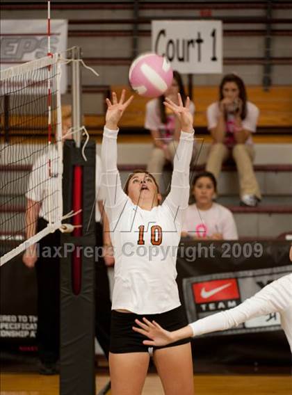 Thumbnail 2 in Alvin vs. Alamo Heights (Pearland Volleyball Classic) photogallery.