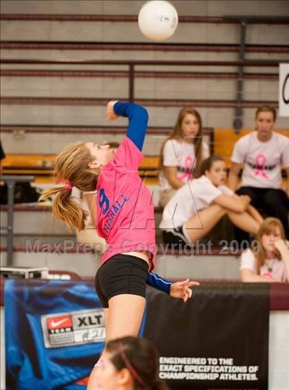 Thumbnail 1 in Alvin vs. Alamo Heights (Pearland Volleyball Classic) photogallery.