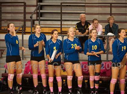 Thumbnail 1 in Alvin vs. Alamo Heights (Pearland Volleyball Classic) photogallery.