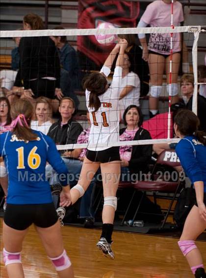 Thumbnail 3 in Alvin vs. Alamo Heights (Pearland Volleyball Classic) photogallery.