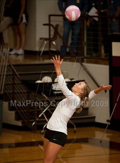 Thumbnail 3 in Alvin vs. Alamo Heights (Pearland Volleyball Classic) photogallery.
