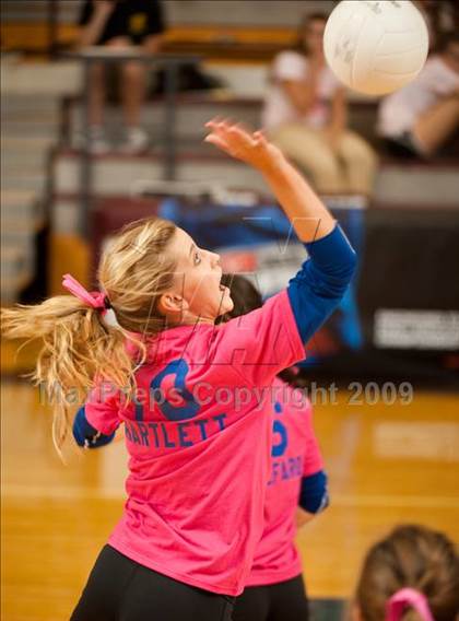 Thumbnail 2 in Alvin vs. Alamo Heights (Pearland Volleyball Classic) photogallery.