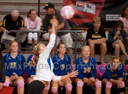 Thumbnail 2 in Alvin vs. Alamo Heights (Pearland Volleyball Classic) photogallery.