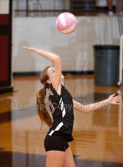 Thumbnail 3 in Alvin vs. Alamo Heights (Pearland Volleyball Classic) photogallery.