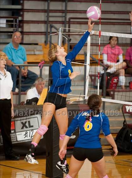Thumbnail 3 in Alvin vs. Alamo Heights (Pearland Volleyball Classic) photogallery.