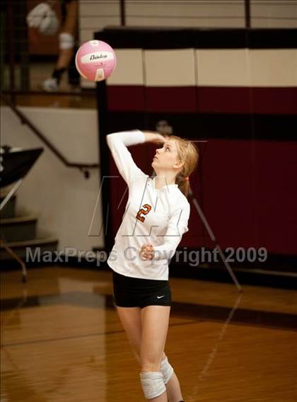 Thumbnail 3 in Alvin vs. Alamo Heights (Pearland Volleyball Classic) photogallery.