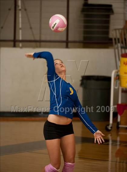 Thumbnail 3 in Alvin vs. Alamo Heights (Pearland Volleyball Classic) photogallery.