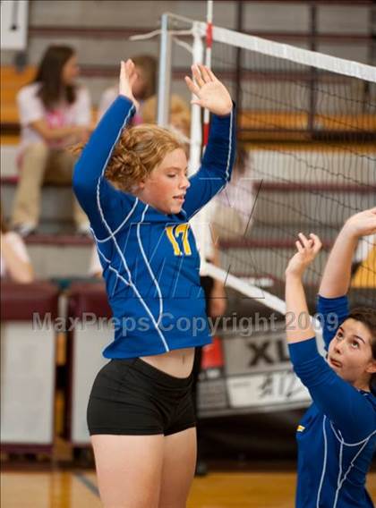 Thumbnail 3 in Alvin vs. Alamo Heights (Pearland Volleyball Classic) photogallery.