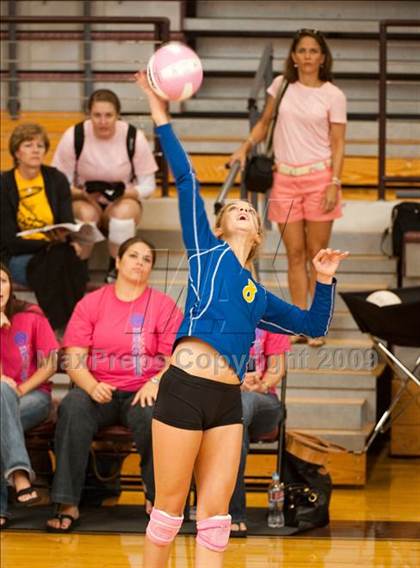 Thumbnail 2 in Alvin vs. Alamo Heights (Pearland Volleyball Classic) photogallery.