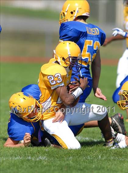 Thumbnail 1 in Riverside @ Lockport photogallery.