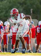 Photo from the gallery "Gainesville @ Gar-Field"