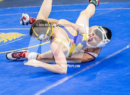 Thumbnail 2 in NYSPHSAA Wrestling D2 Rat tail and Round 1 (99lbs to 145lbs) photogallery.