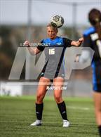 Photo from the gallery "Dawson School @ SkyView Academy"