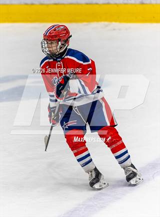 Davison @ Howell (MHSAA Division 1 Region 3 Semifinal)