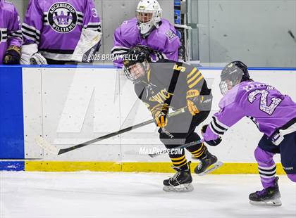 Thumbnail 3 in Archbishop Williams vs Bishop Fenwick (Hockey Fights Cancer) photogallery.