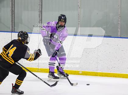 Thumbnail 1 in Archbishop Williams vs Bishop Fenwick (Hockey Fights Cancer) photogallery.
