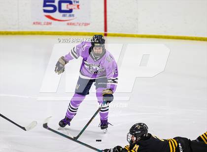 Thumbnail 3 in Archbishop Williams vs Bishop Fenwick (Hockey Fights Cancer) photogallery.