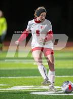 Photo from the gallery "Skyline @ Windsor"