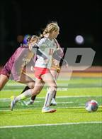 Photo from the gallery "Skyline @ Windsor"
