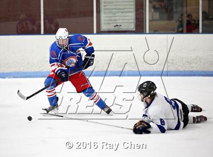 Thumbnail 2 in Cherry Creek @ Columbine photogallery.