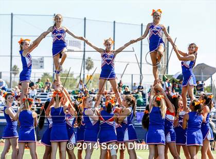 Thumbnail 2 in Live Oak @ Santa Teresa photogallery.