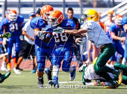 Thumbnail 2 in Live Oak @ Santa Teresa photogallery.