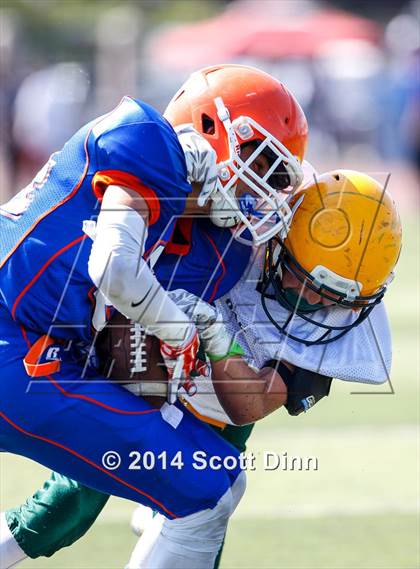 Thumbnail 3 in Live Oak @ Santa Teresa photogallery.