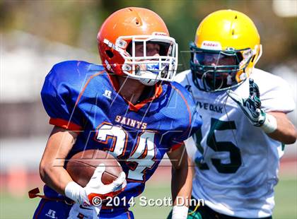 Thumbnail 2 in Live Oak @ Santa Teresa photogallery.