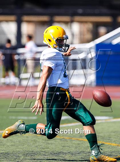 Thumbnail 2 in Live Oak @ Santa Teresa photogallery.