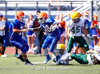 Thumbnail 1 in Live Oak @ Santa Teresa photogallery.